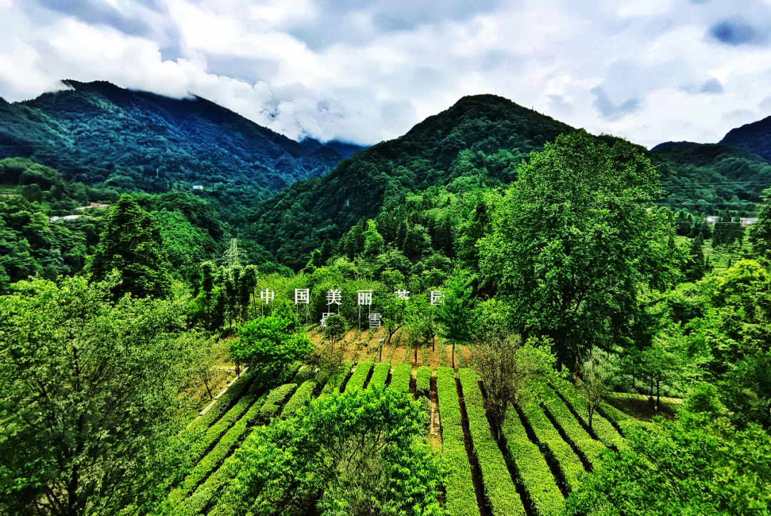 Ag亚洲集团(中国区)有限公司官网